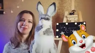 🐹 ХОМЯК ПОПАЛ В БЕДУ?! | ДОМАШНИЕ ЖИВОТНЫЕ | ШОУ С БИЛБИ 4