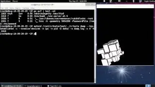 Example how CRIU can dump and restore a TCP connections v2