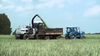 Заготовка силоса комбайн ДОН 680М и трактор МТЗ 80