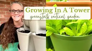 GREENSTALK VERTICAL GARDEN! Everything you NEED to know to get started!