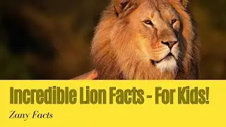 Lion Kingdom: Unleashing Fun Facts for Young Explorers!