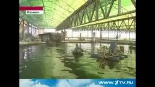 Ловить рыбу теперь можно в пустыне!