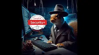Detective Squirrel studies Security+ SY0-701 Domain 3: Security Architecture