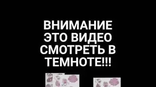 ЛЕДИ БАГ ПРИЗНАЛАСЬ КОТУ В ЧУВСТВАХ?