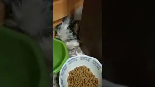 хорошая пенсия́