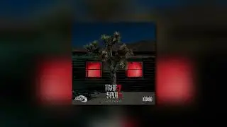 LOCAL STRANGER - TRAP SPOT II