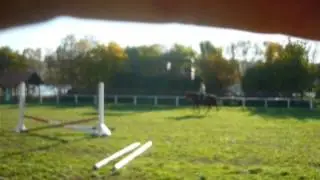 Jumping oxer at home