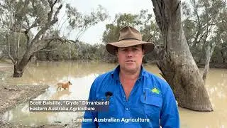 Protecting Dharriwaa: Eastern Australia Agriculture’s Role in Biodiversity