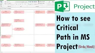 How to see Critical Path in MS Project | critical path not showing (Urdu/Hindi)