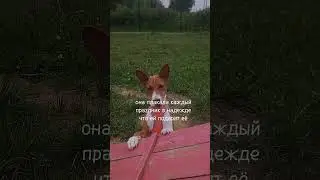 тебя♡︎ ♡︎ ♡︎