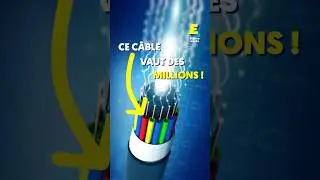 Ce câble vaut des millions ! 😳 #shorts