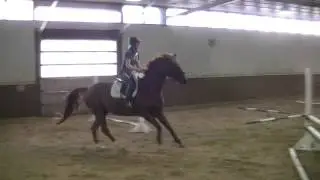 Donner Bee Jumping October 2015