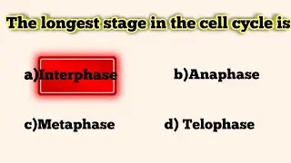 Biology MCQs 2024