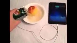 Your science teacher probably never taught you this VINE