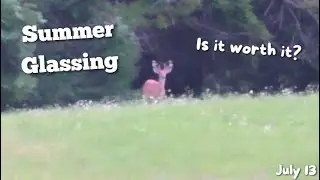Glassing SUMMER BUCKS!!! | Is Summer Glassing Worth the Time and Effort?