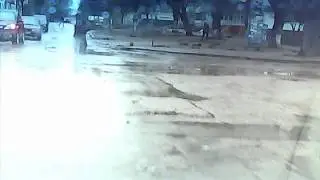Яблоня и яблоко.