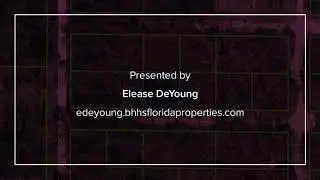 3000 W Cheviot Road Avon Park, FL 33825