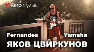 Яков Цвиркунов отдыхает с Fernandes и Yamaha THR