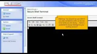 How to use an SSH terminal in Plesk