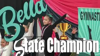 2019 Level 6 Beam Virginia State Champion 9.650 Bella Lim
