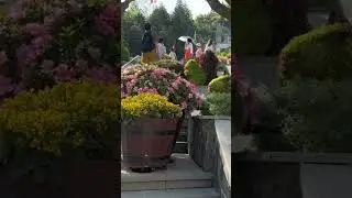 🇻🇳 мы в полном восторге от Ba NA HILLS, приглашаем посмотреть обзор уже на нашем канале💥 #вьетнам