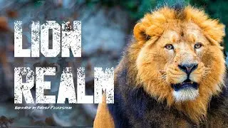 CH5 - Nature Documentary - The Realm of the Asian Lion (1999)