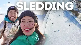 ความสนุกในช่วงฤดูหนาว: ตามหา Sled & เล่น Sledding ที่สวนสาธารณะแถวบ้านแฟน | อเมริกา