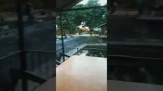 হঠাৎ করেই ঘুরতে বেরিয়ে চলে গেলাম Blue Moon Resort, Bogura.