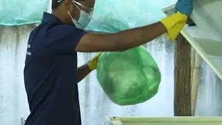 Plastics Program Innovator - PADCARE