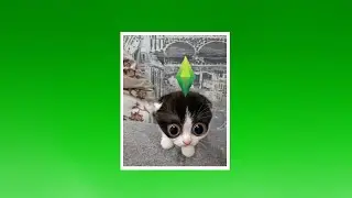 Chill ~Sped Up~ | Playlist