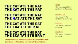 The Genetic Code and Mutations