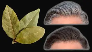 Gray hair disappears in 5 minutes 100% efficiency! You will be shocked by the result😱😱😱