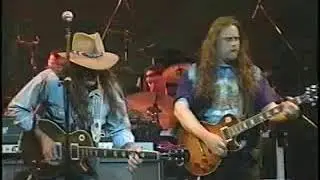 Allman Brothers Band, Revival & Whipping Post