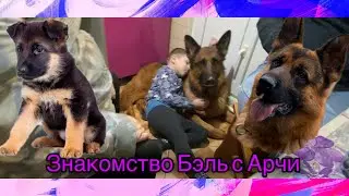 На три дня ДОМОЙ ❗️