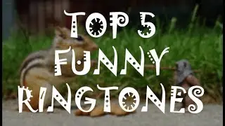 TOP 3 FUNNY RINGTONES