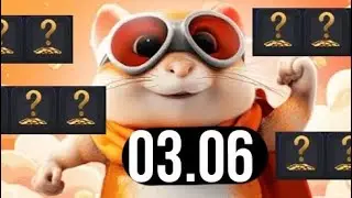 Hamster Kombat - КОМБО КАРТЫ 03 июня. Какие новые комбо карты 03.06? Как собрать комбо карты?