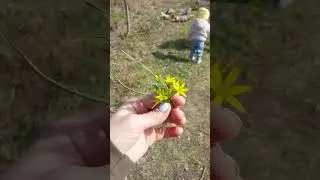 весенняя краса🥰