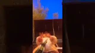 Пэдро