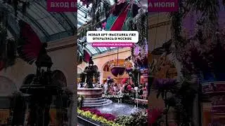Пожалуй лучшее место для выходных в Москве😍