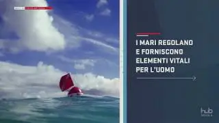 Objective #14 - Life Underwater