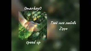 Тлей моя любовь - Zippo speed up / 0markoy0
