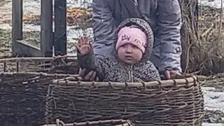 Без машины и без трактора транспортируем сено с соседней улицы!