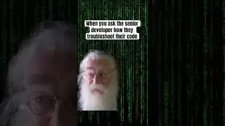 How to troubleshoot your code like a senior developer