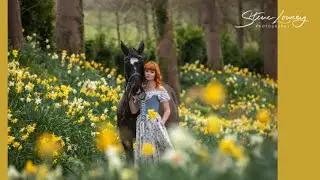 Stunning Horse Photoshoot In North West Uk By Equine Photographer Steve Lowrey