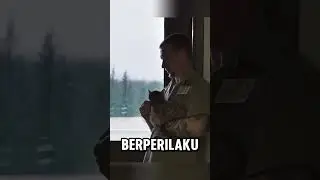 200 kucing masuk penjara ⁉️