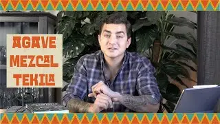 Agave, mezcal ve tekila hakkında merak ettikleriniz