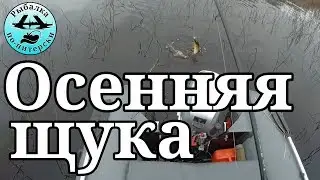 Щука на Вуоксе в ноябре 2018