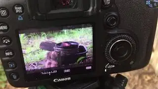 Canon EOS 7D Review 11 Years Later (2020)