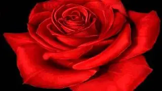 MIX DE MUSICA CRISTIANA DE ADORACION  AL REY JESUS