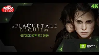 Plague Tale: REQUIEM. GeForce NOW RTX 3080 4k/60fps. First Look